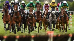 Horse Race Betting.png